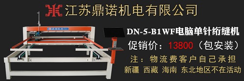 DN-5-B1WF電腦單針絎縫機(jī)促銷(xiāo)詳情